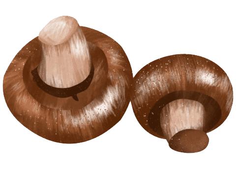 เห็ด01