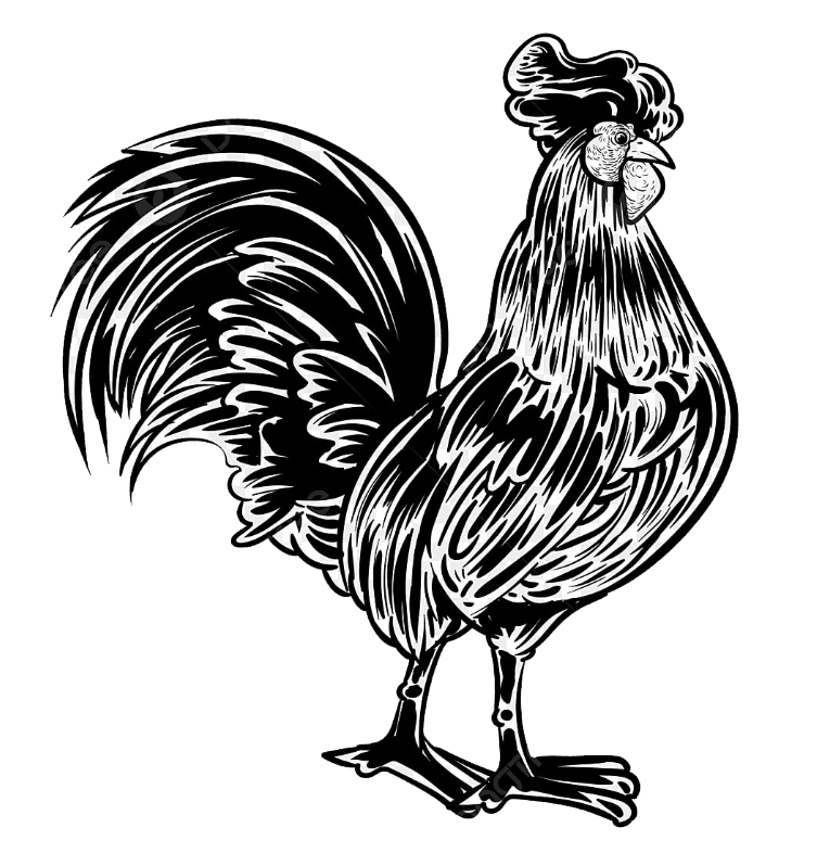 ไก่ปิ้ง01
